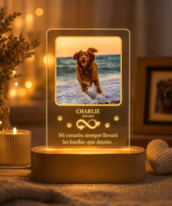Lámpara Conmemorativa Personalizada Para Mascotas | Recuerdo Marrón Claro Transparente