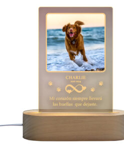 Alternative view of Lámpara Conmemorativa Personalizada Para Mascotas | Recuerdo Marrón Claro Transparente