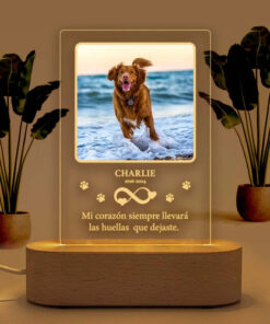 Lámpara Conmemorativa Personalizada Para Mascotas | Recuerdo Marrón Claro Transparente - Imagen 5