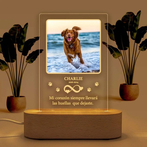 Lámpara Conmemorativa Personalizada Para Mascotas | Recuerdo Marrón Claro Transparente - Imagen 5