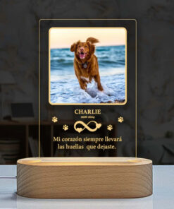 Lámpara Conmemorativa Personalizada Para Mascotas | Recuerdo Marrón Claro Transparente - Imagen 4