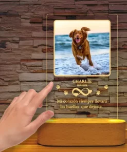 Lámpara Conmemorativa Personalizada Para Mascotas | Recuerdo Marrón Claro Transparente - Imagen 3