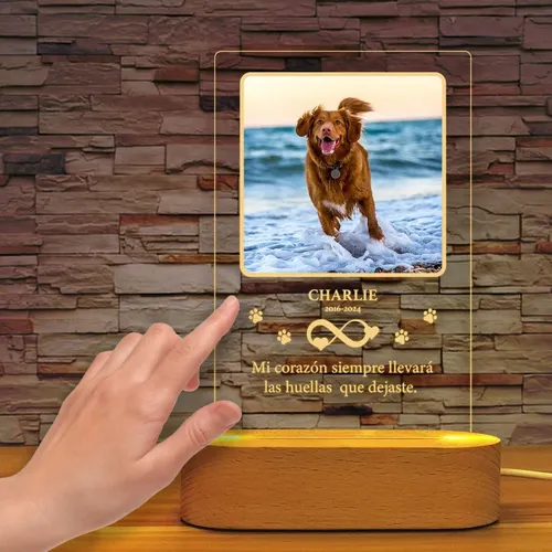 Lámpara Conmemorativa Personalizada Para Mascotas | Recuerdo Marrón Claro Transparente - Imagen 3