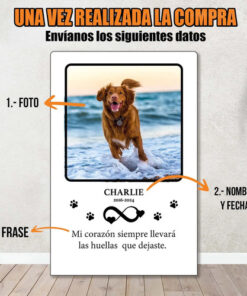 Lámpara Conmemorativa Personalizada Para Mascotas | Recuerdo Marrón Claro Transparente - Imagen 6
