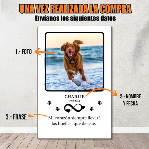 Lámpara Conmemorativa Personalizada Para Mascotas | Recuerdo Marrón Claro Transparente - Imagen 6